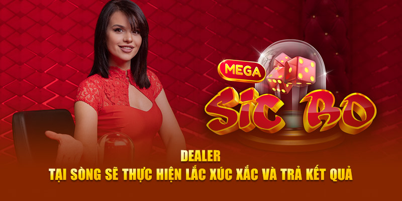 Dealer tại sòng sẽ thực hiện lắc xúc xắc và trả kết quả 