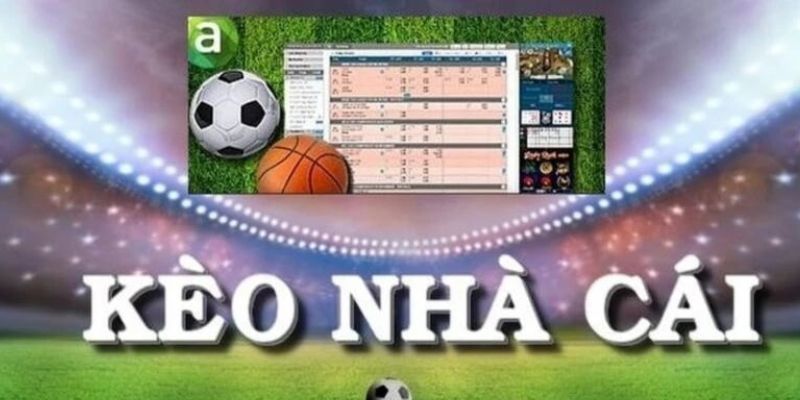 Điểm đặc biệt của kèo cược tại nhà cái New88