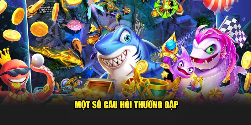 Một số câu hỏi thường gặp